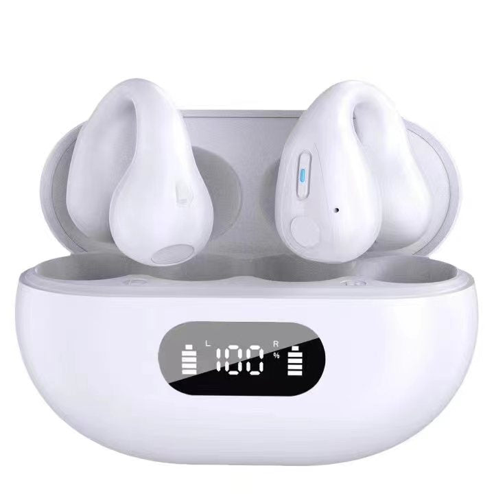 BH12 Wireless Earbuds