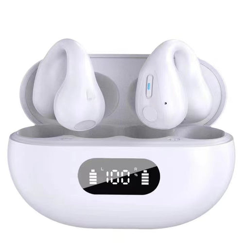BH12 Wireless Earbuds