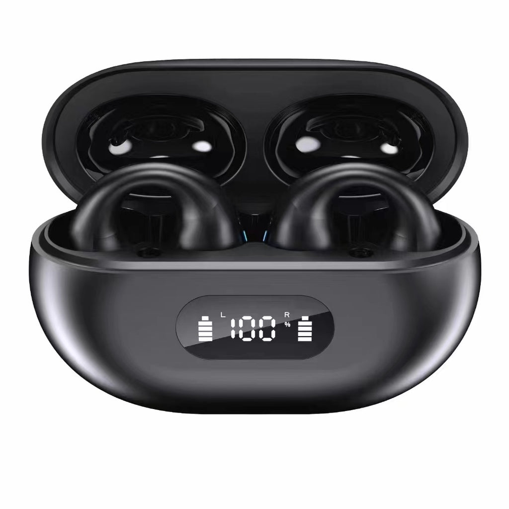BH12 Wireless Earbuds
