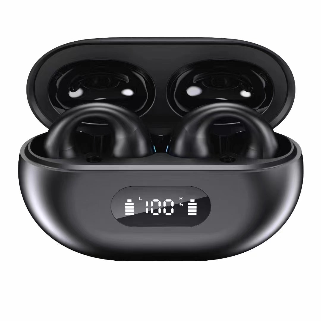 BH12 Wireless Earbuds